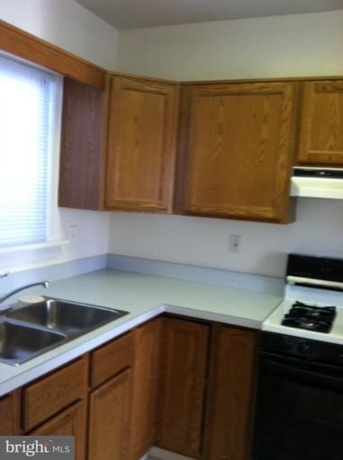 1608 Mount Eagle Place unit 967-16, Alexandria, VA 22302 - photo 5