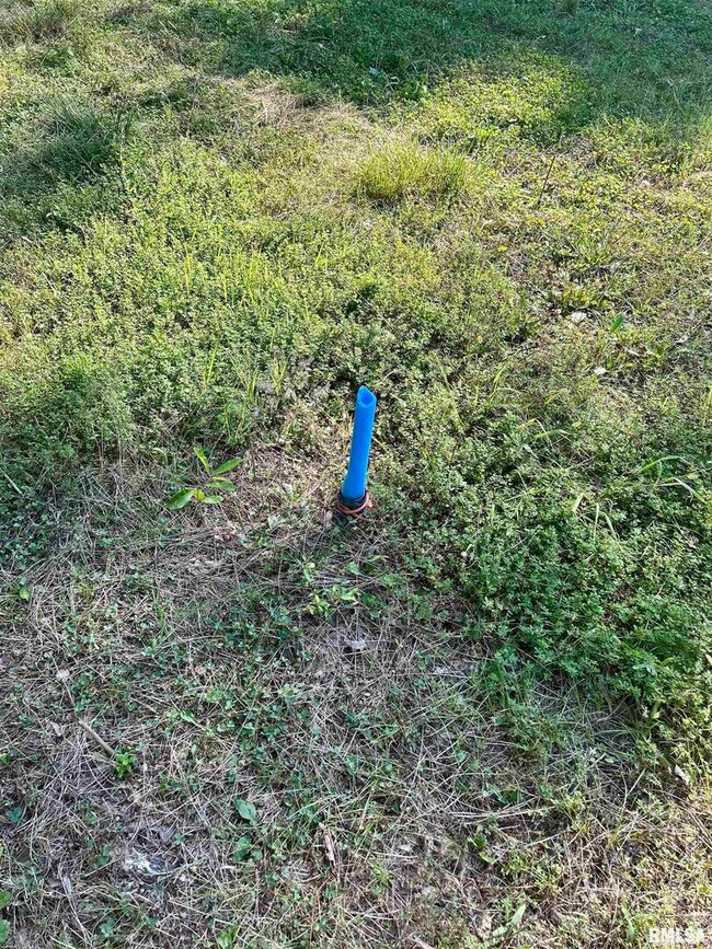 1207 Gentile St, Colp, IL 62918 - photo 5