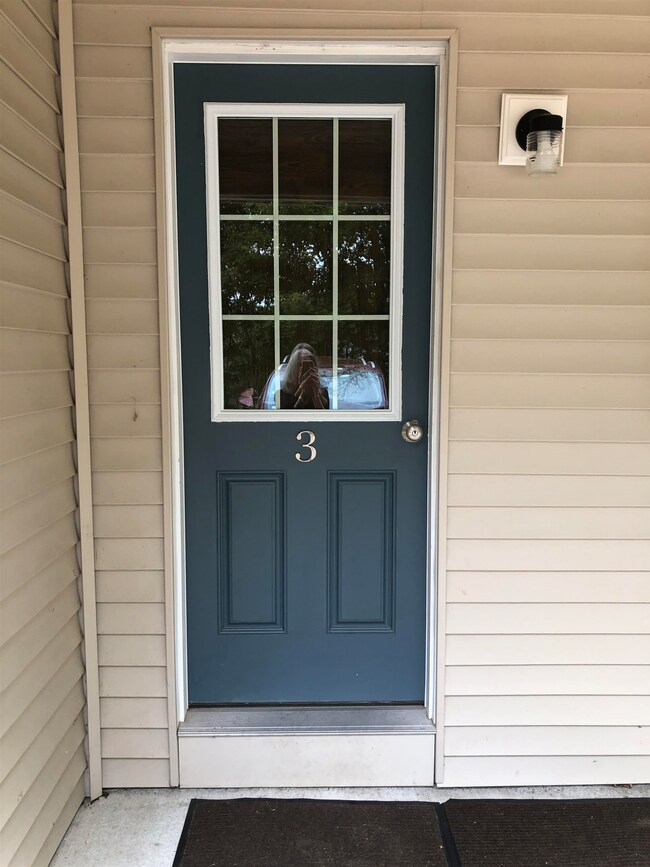 41 Richmond Rd unit 3, Fitzwilliam, NH 03447 - photo 3