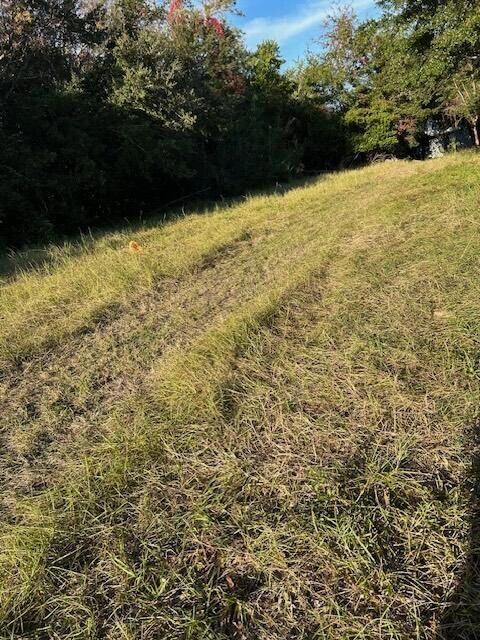 3113 Palmetto Blvd, Edisto Island, SC 29438 - photo 6