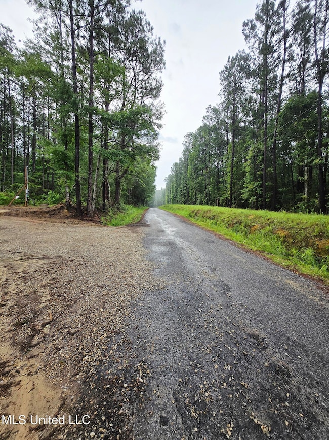 Road View