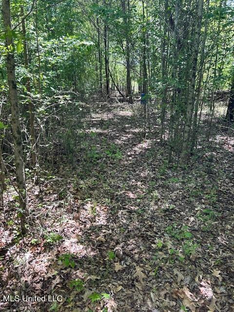 Trail One