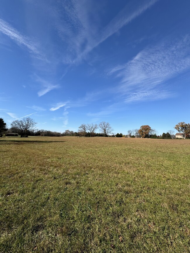 313 Holly Grove Rd, Lascassas, TN 37085 - photo 7