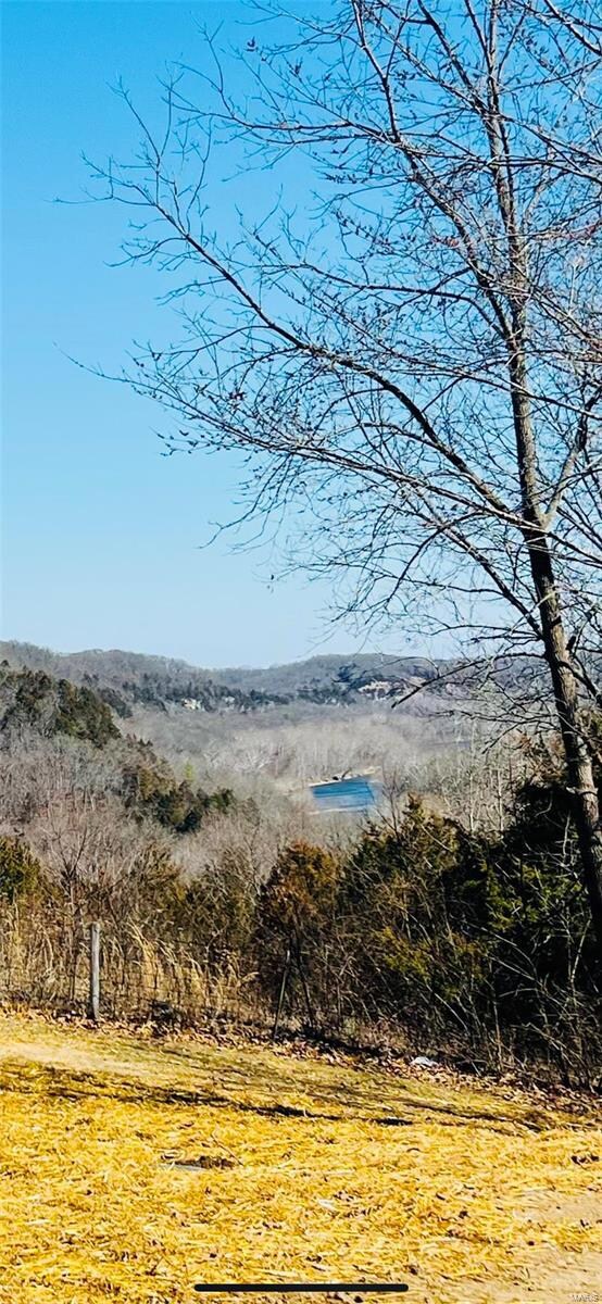 10755 Circle Rd, Dixon, MO 65459 - photo 3