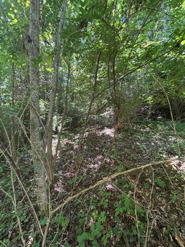 48 Jasper Lake Dr, Burnside, KY 42519 - photo 6