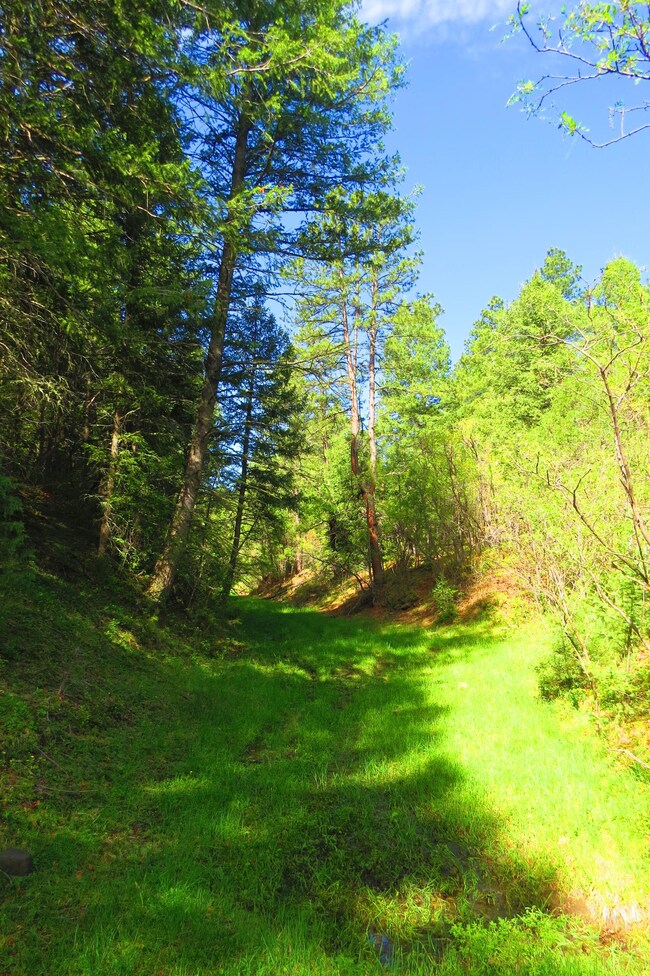 26 Owen Baldwin Pkwy unit Parcel H4, Trinidad, CO 81082 - photo 4