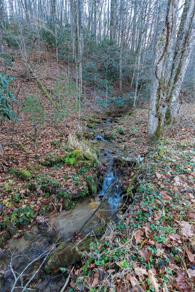 2851 Little Creek Rd, Burnsville, NC 28714 - photo 2