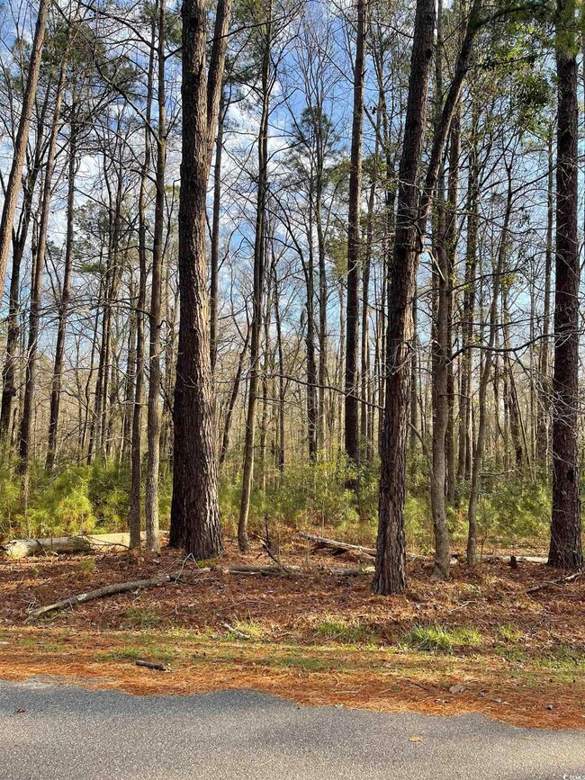 0 Maplewood Cir, Conway, SC 29526 - photo 2