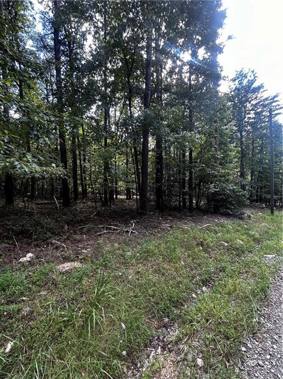 00 Elk Ct, Jasper, GA 30143 - photo 5