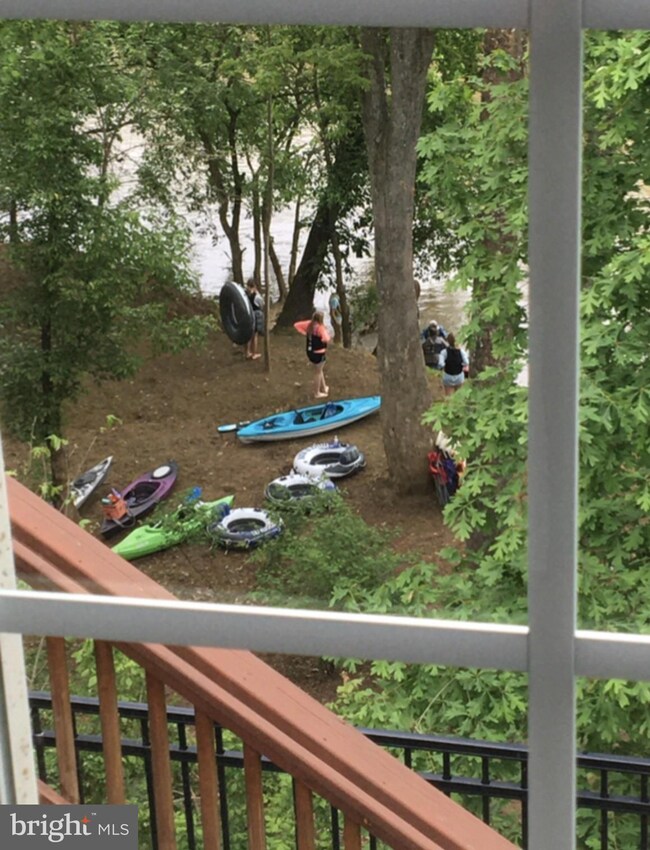 1241 Dogleg Dr, Locust Grove, VA 22508 - photo 6