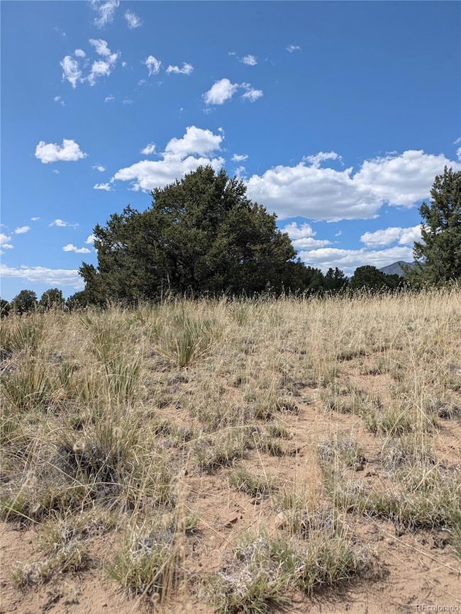 3213 Enchanted Ct, Crestone, CO 81131 - photo 3