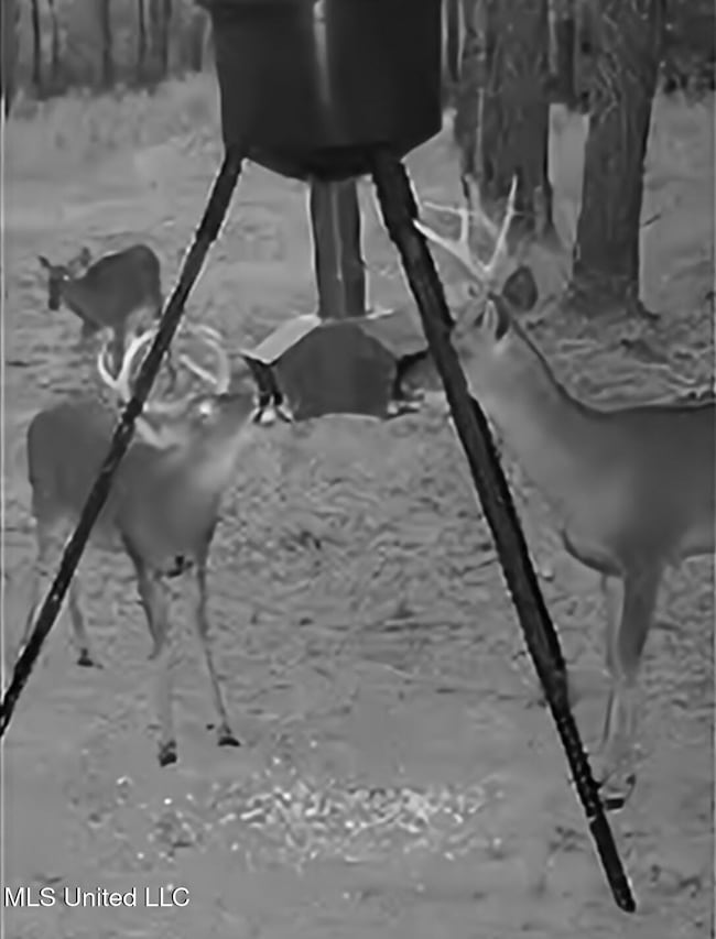 0 Kit Maples Rd, Perkinston, MS 39573 - photo 5