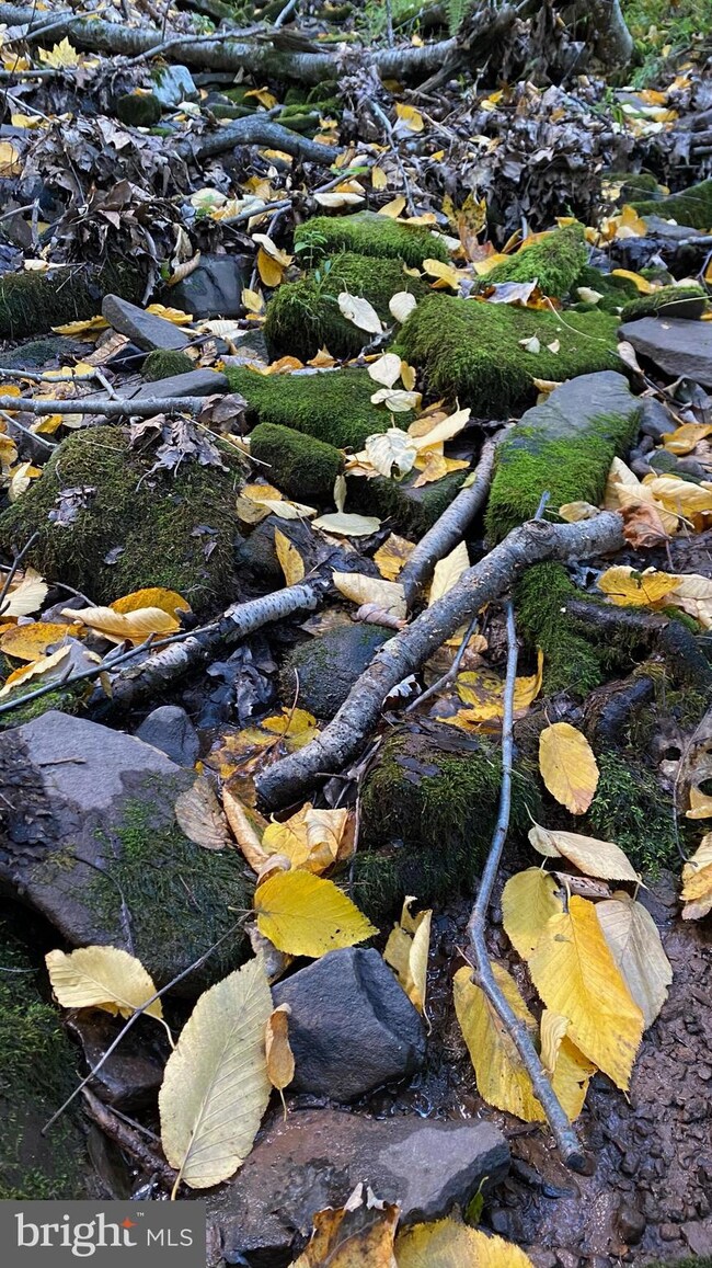 Lot 69 Helmick Rock Run, Lost River, WV 26812 - photo 4