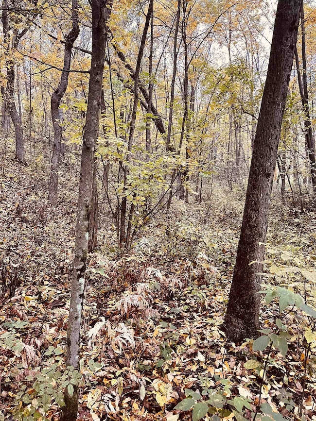 16.4 Ac County Rd E, Brooklyn, WI 53521 - photo 7