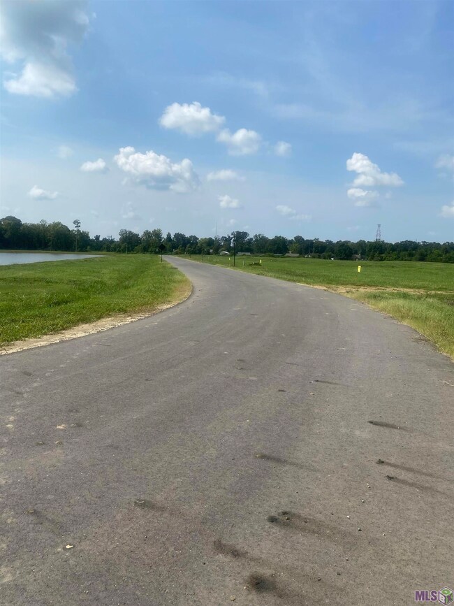 lot 24 Buddy Gore Rd, Gonzales, LA 70737 - photo 2