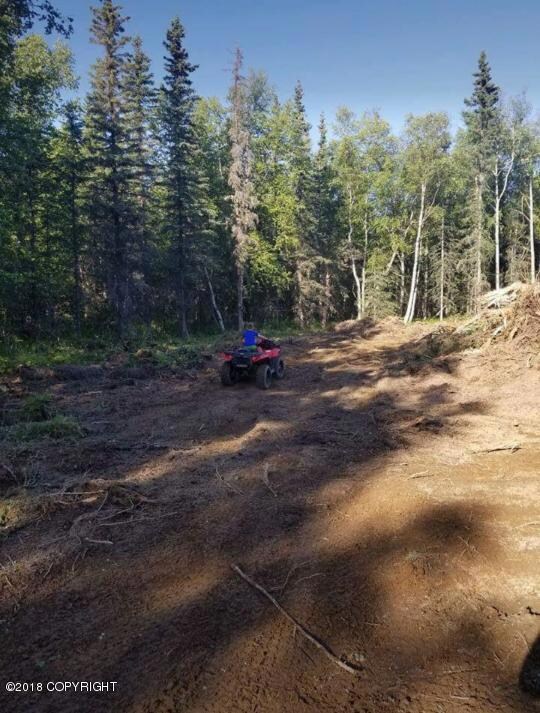 3215 E Paradise Ln, Wasilla, AK 99654 - photo 4