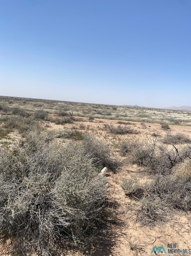 0 Hermanas Grad Rd, Deming, NM 88030 - photo 4