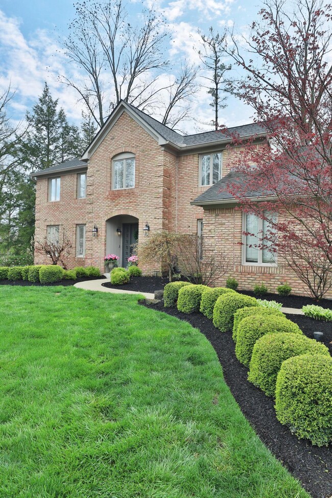 Professional landscaping