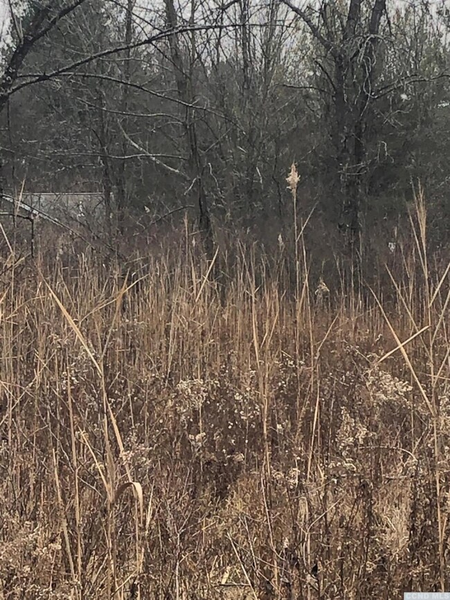 39 - L Debbie Dr, Athens, NY 12015 - photo 4