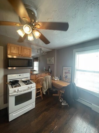 344 E 8th St unit 2, Boston, MA 02127 - photo 3