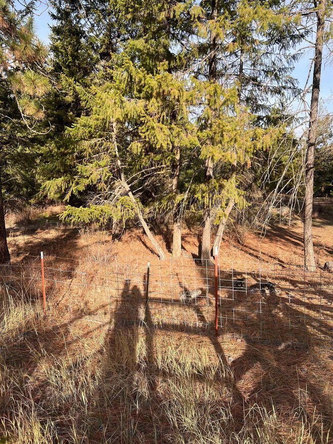 xxxx W Brant Rd, Colbert, WA 99005 - photo 5