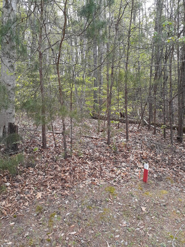 230 Andorra Ln.