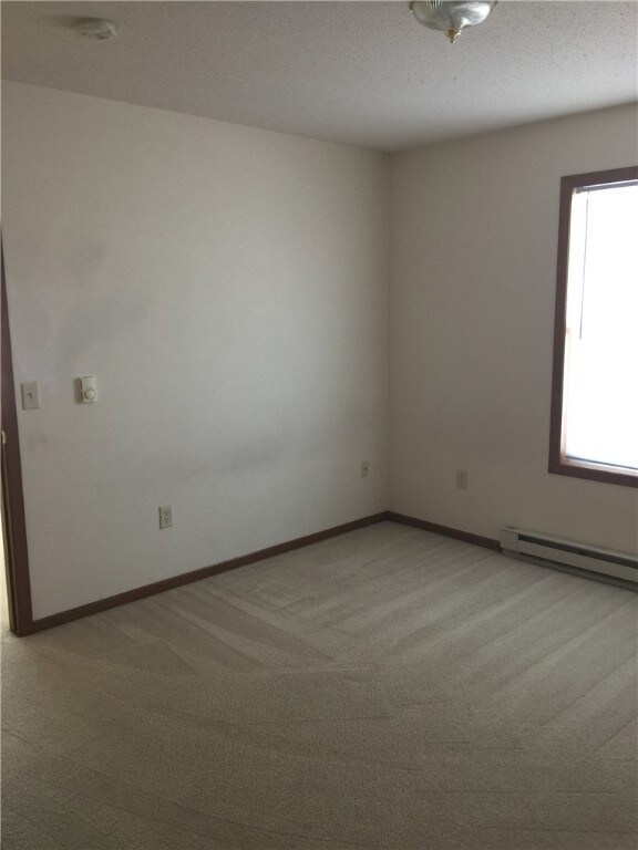 2015 Carrie Ave unit 1, Rice Lake, WI 54868 - photo 5