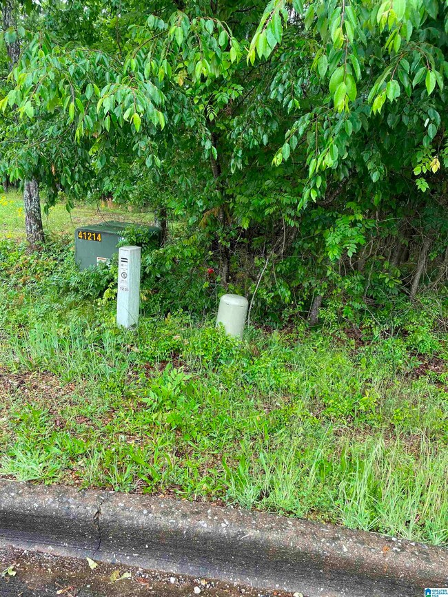 0 Eagle Pass Way unit 33 1353486, Anniston, AL 36207 - photo 7