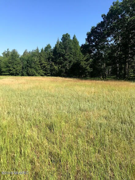 0 E 72nd St, Chase, MI 49623 - photo 7