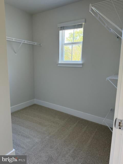 220 Munsee Cir, Winchester, VA 22602 - photo 4