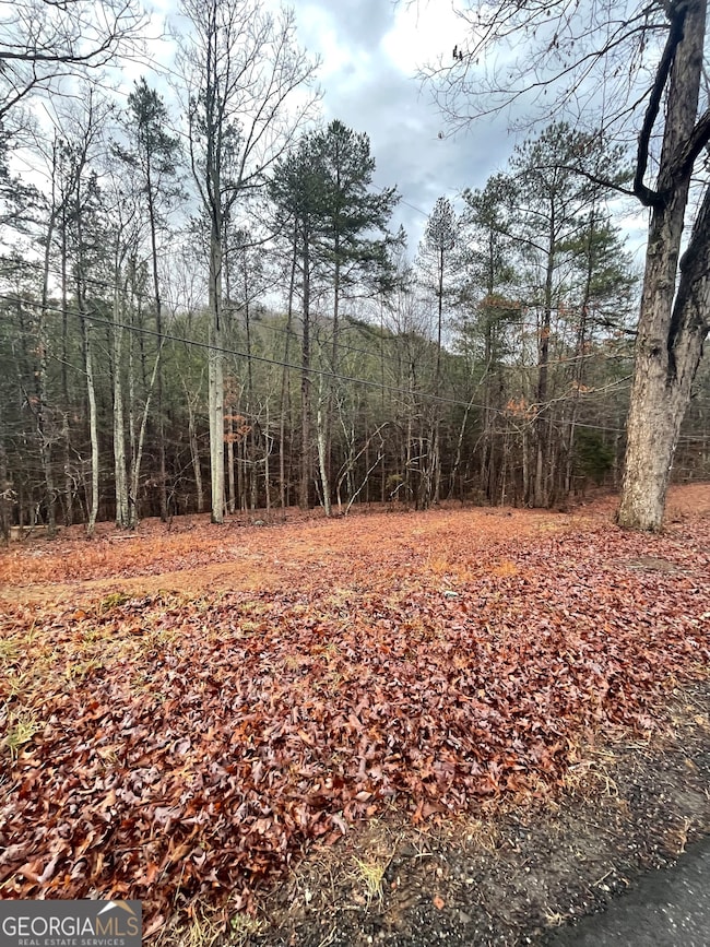 130 Connesena Rd, Kingston, GA 30145 - photo 2