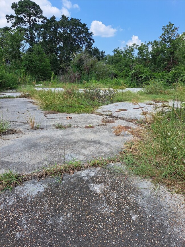 6907 Banyan St, Houston, TX 77028 - photo 5