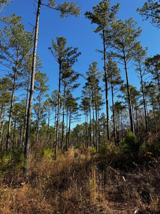 21 Lee Road 254, Salem, AL 36874 - photo 4