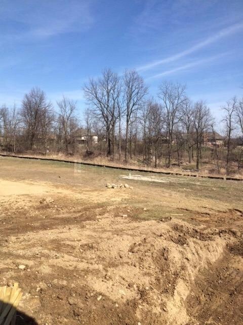 5868 Tyler Ct, Dexter, MI 48130 - photo 2