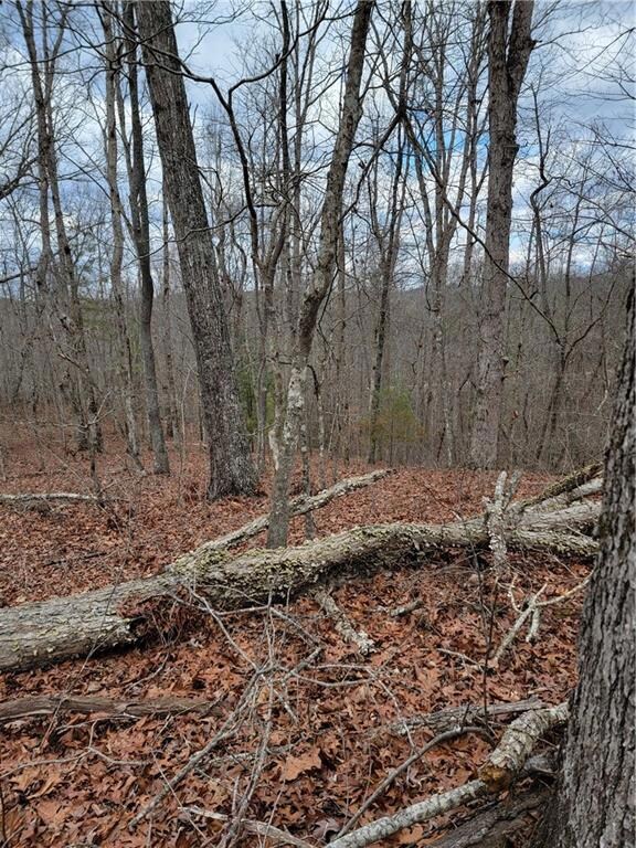 View of the property