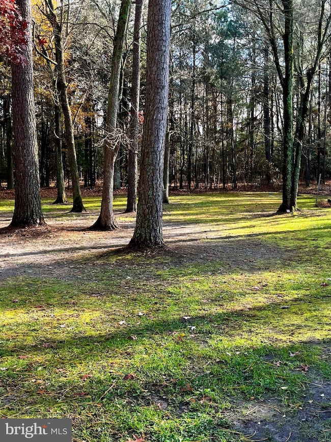 30695 Foxchase Dr, Salisbury, MD 21804 - photo 3