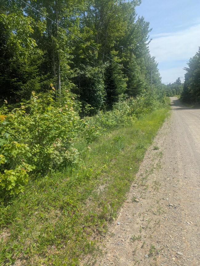 PXL_20250617_185802634