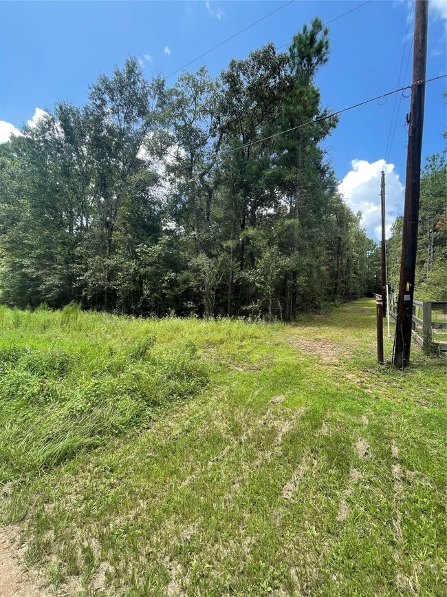 0 Bentley unit 41350372, Hockley, TX 77447 - photo 4