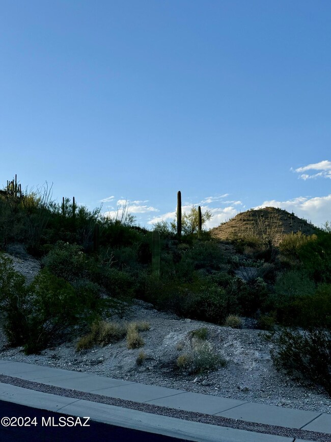 2096 S Twinkling Starr Dr unit 11, Tucson, AZ 85745 - photo 5