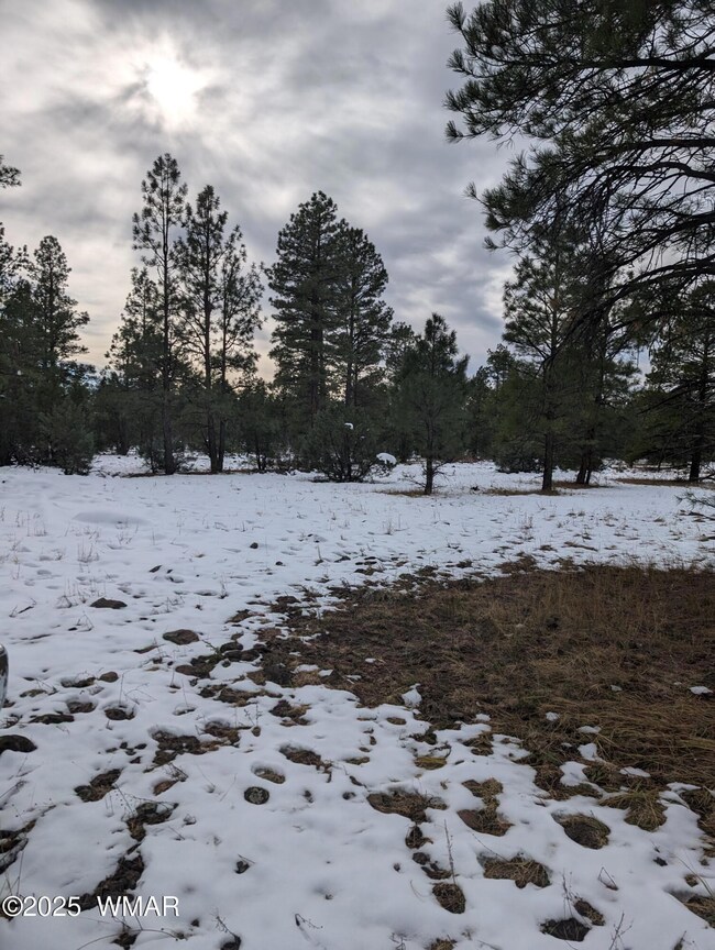 PXL_20241105_215306711
