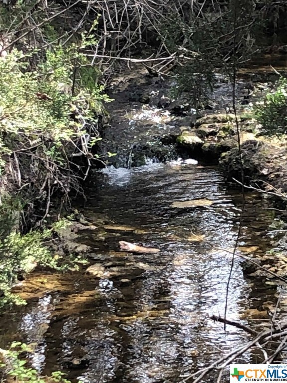 1253 Marissa Dr, Copperas Cove, TX 76522 - photo 3