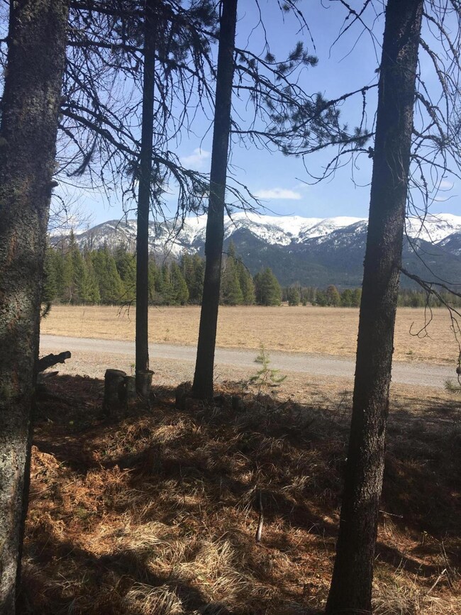 18 Carly Ln, Big Fork, MT 59911 - photo 3