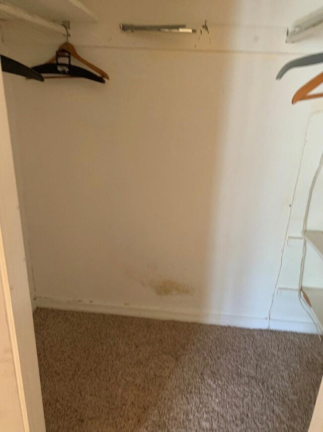 Master Walk-in