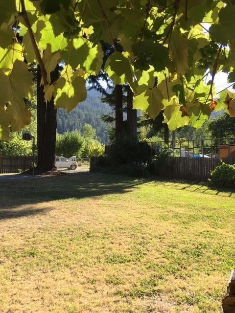 265 Orchard Way, Myers Flat, CA 95554 - photo 3