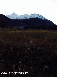 View from the lot