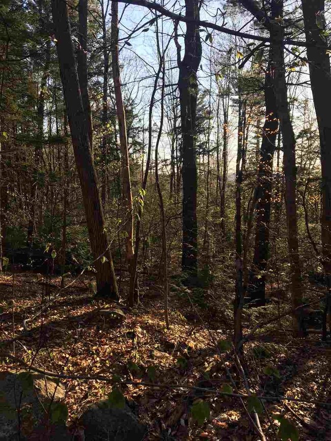 121 Webb Hill Rd, Fitzwilliam, NH 03447 - photo 7