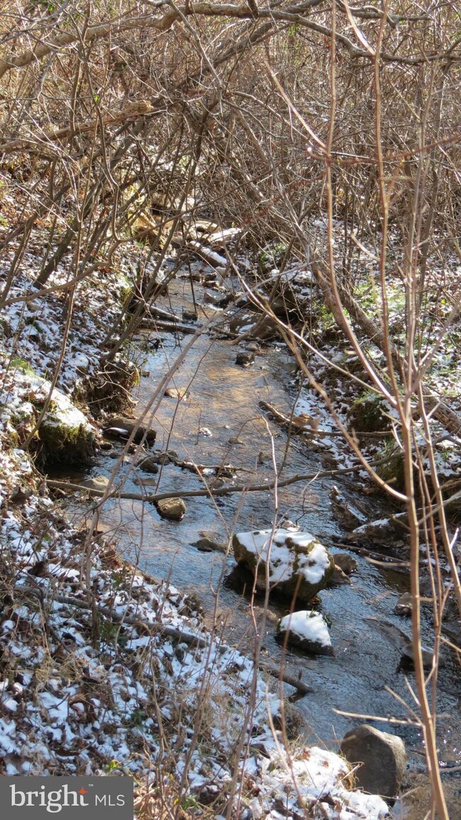 0 Lee Hwy unit 1000162279, Sperryville, VA 22740 - photo 3