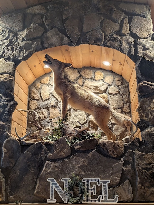 240 Walnut Ln, Grayson, KY 41143 - photo 5