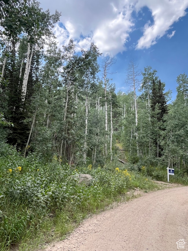 View of dirt / gravel road