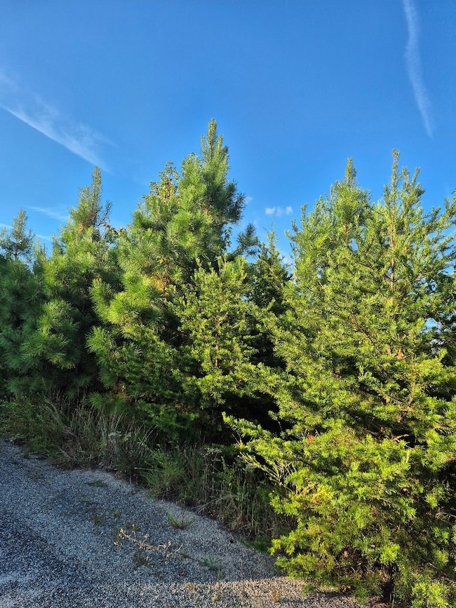 0 Fort Dr unit 16 57759, Pamplin, VA 23958 - photo 5